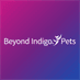 Beyond Indigo Pets
