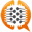 BrainSINS