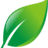 Dockvine