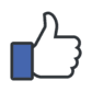 Facebook Likes Popup by Company Tools