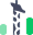 Giraff