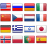 Google Language Translator