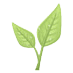 HealCode