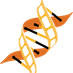 Helix Media 360
