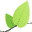 Leaflet