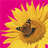 ful.io