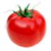Real Estate Tomato