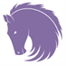 Swift Horse Marketing