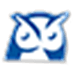 Wise Agent